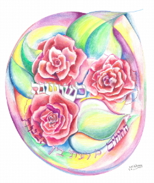 Like a Rose Among Thorns